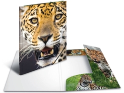 Carpeta HERMA Multicolor (A4 - Polipropileno)