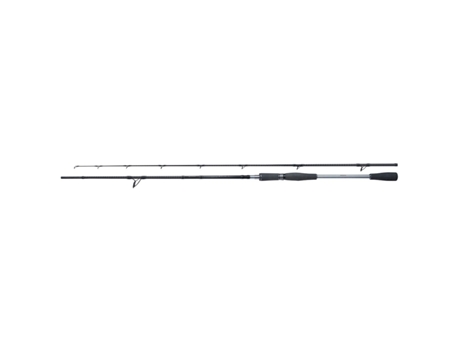 Juego de 2 cañas de casting SHIMANO Yasei pike H fast 20-60g