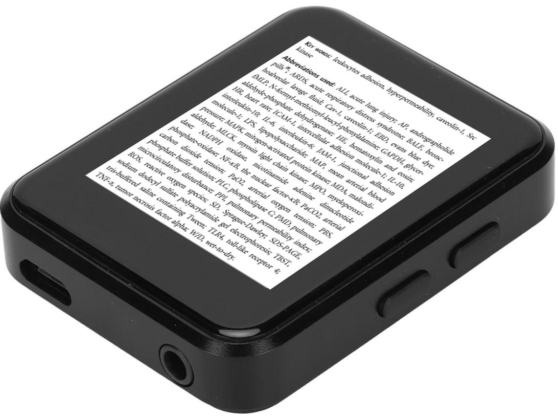 Reproductor MP3/MP4 Bluetooth YIZHOOD X1 1.8Inch E-Books 16G TF Card (Negro)