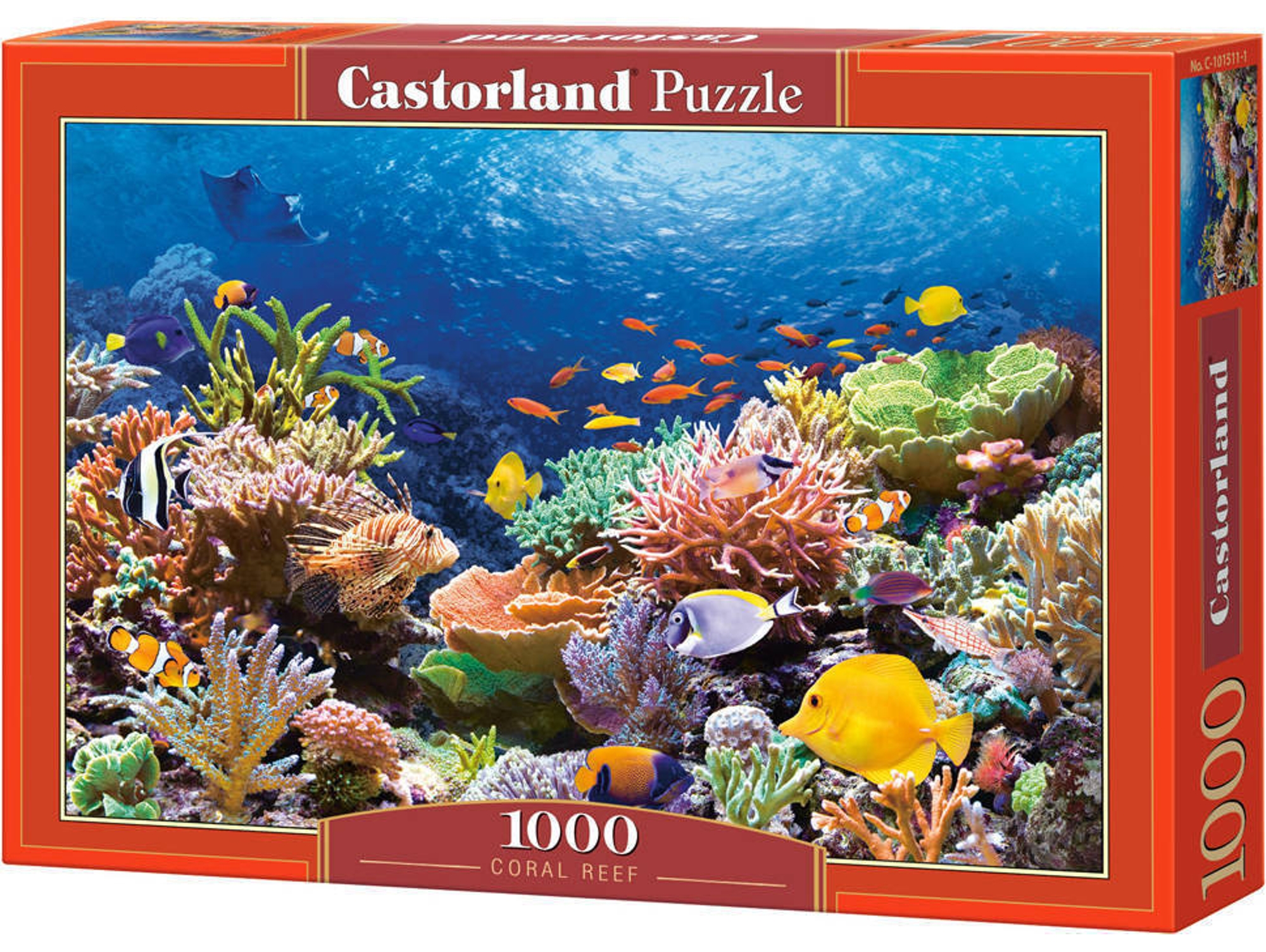 Puzzle CASTORLAND Coral Reef Fishes (1000 Piezas)