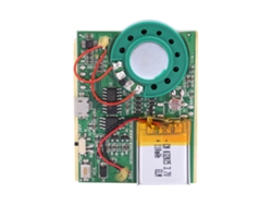 Módulo Gravador De Voz E Som Usb Com Bateria De Lítio Recarregável Controle Fotossensível