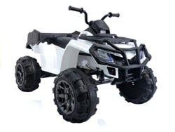 Vehículo eléctrico de pasajeros Quad Bdm 0909 blanco de 24 V B.active