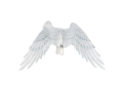 Ats-ala Grande Niño Niña Accesorio Disfraz Fiesta Halloween Cosplay Prop Blanco