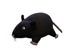 2026zentro Peluche de ratón simulado de 20 cm, juguete suave con forma de animal, regalo para niños