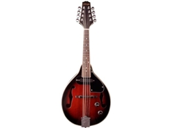 Mandolina electrificada M50 y STAGG