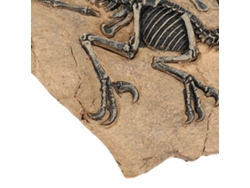 Figura De Esqueleto De Dinosaurio De Resina De Alta Resolución Para Estudio Y Decoración.