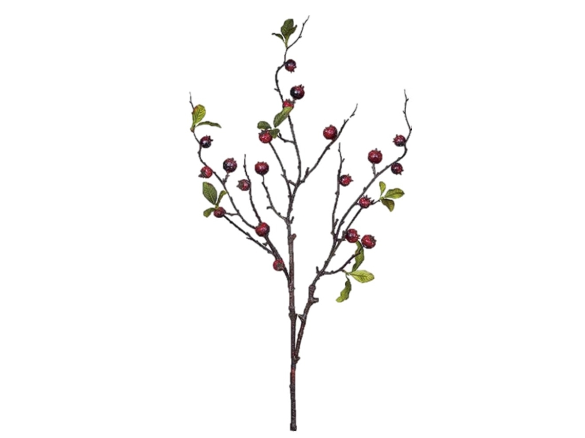 Ramo de flores Albi con 20 frutos rojos, 86 cm