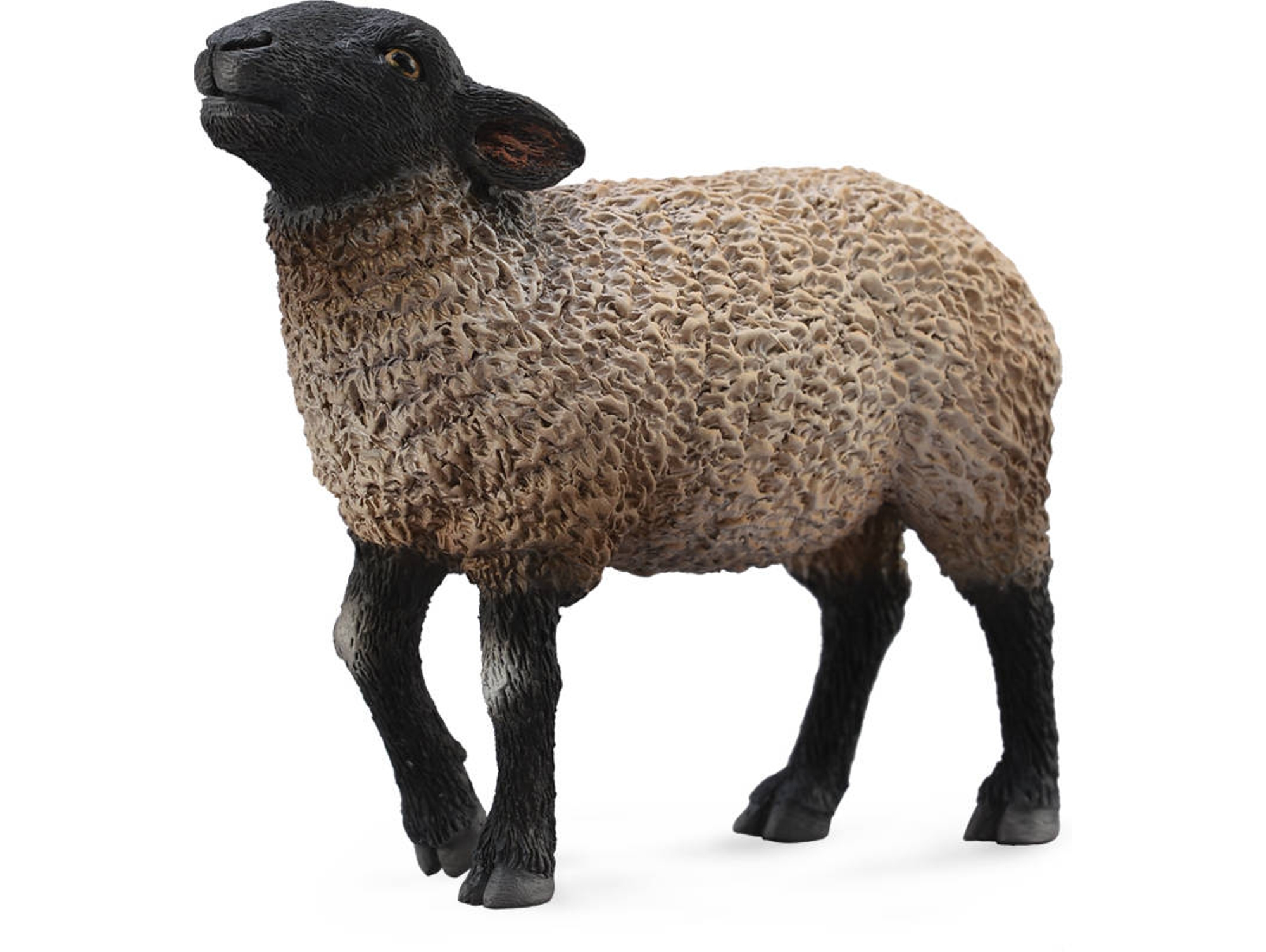 Figura COLLECTA Suffolk