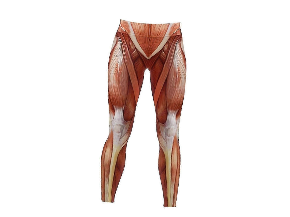 Leggings de cintura alta para mujer, leggings anatómicos con músculos, pantalones de fitness con estampado muscular, leggings para mujer (G) Rosewell