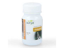 Complemento Alimentar SOTYA Ortosifon 100 Comprimidos