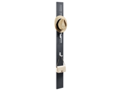 Perchero de pared Hansnes con 3 ganchos plegables, 165 cm, gris, [EN.CASA]