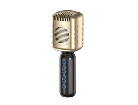 Micrófono Karaoke WEIMAI