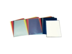 Carpeta Portafolios Esselte UÑERO MOD. 30 100 Piezas Transparente