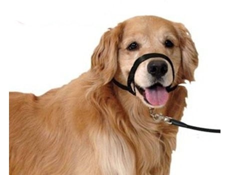 Bozal collar educador para perro | Bozal de entrenamiento para perro | Bozal entrenamiento talla L