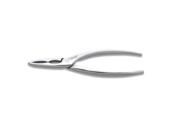 Pinza Corta Mariscos Profesional Dentada 3 CLAVELES (16 Cm)