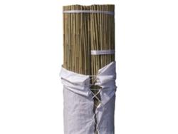 Bala tutor Bambú - 100 unidades Alt: 240cm / Diam: 14-16mm