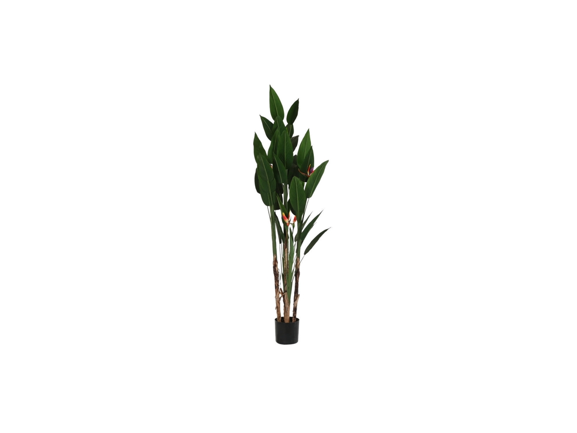 Planta Poliester Pp Ave De Paraiso Verde 90x90x200cm