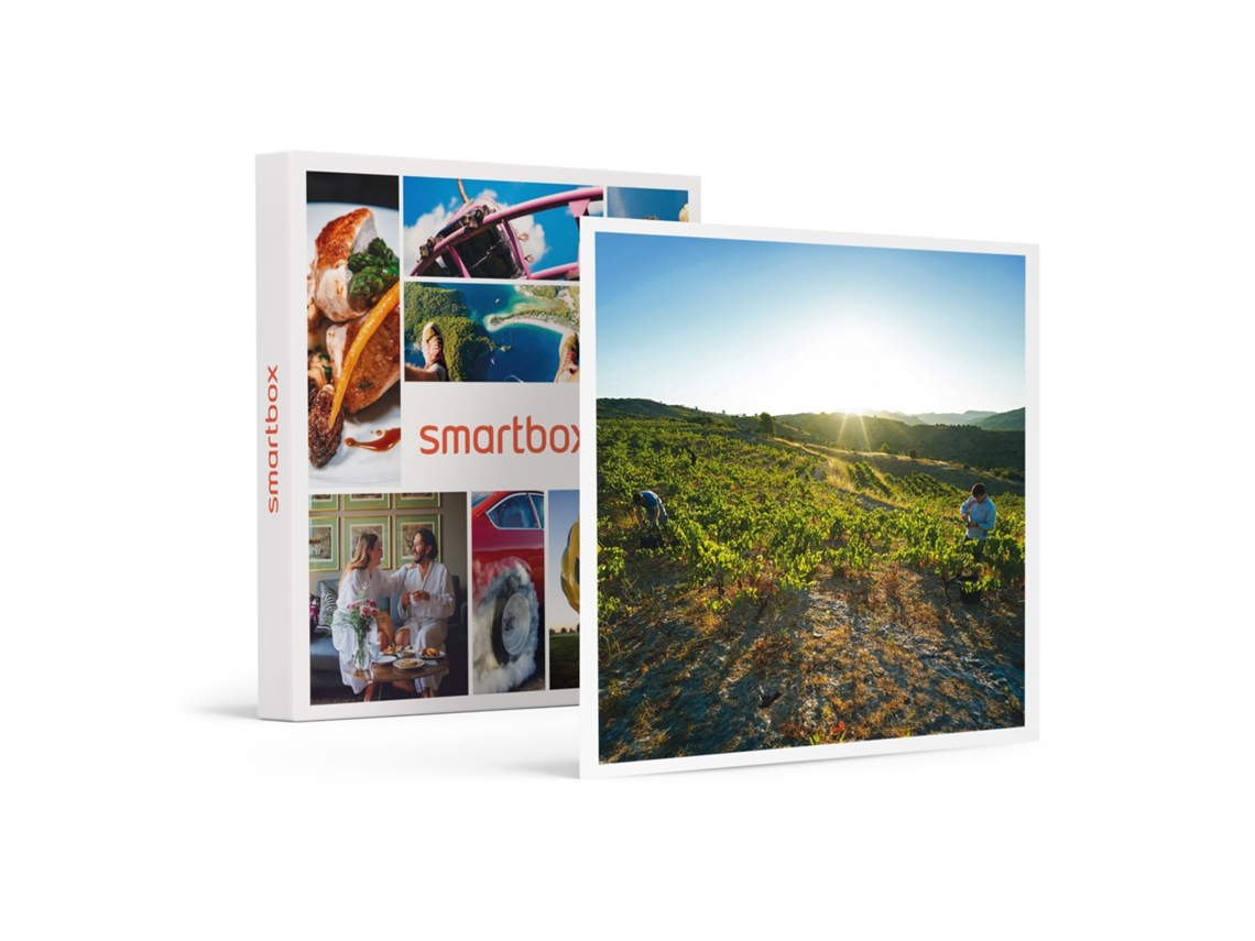 SMARTBOX Bodega Clos Pachem, con DOQ Priorat: visita, curso y cata de vinos Caja Regalo