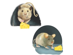 Pegatinas de pared 3D con temática de ratón, paquete de 2, impermeables, para decoración de dormitorio