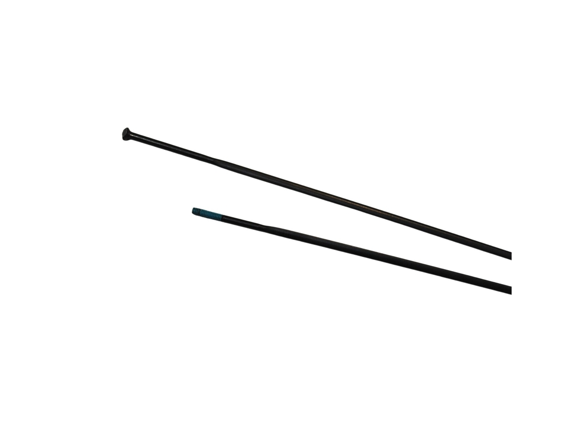 Rays SHIMANO WH-RS21-CL-R 304 mm