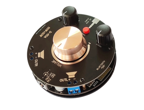 Amplificador de potencia de alta fidelidad Bluetooth 5.0 Tpa3116 Amplificador digital 50W * 2