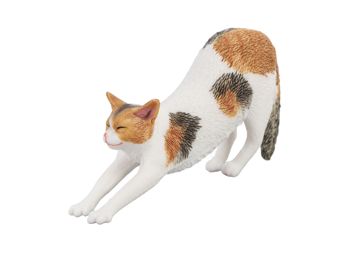 Estátua De Gato Realista Educativa Cute Modelo De Gato Simulado Brinquedo Para Crianças