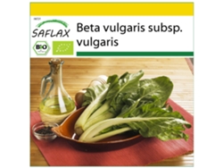 SAFLAX Conjunto de cultivo Ecológico Acelga suiza 150 semillas Con mini invernadero, sustrato de cultivo y 2 macetas Beta vulgaris subsp. vulgaris