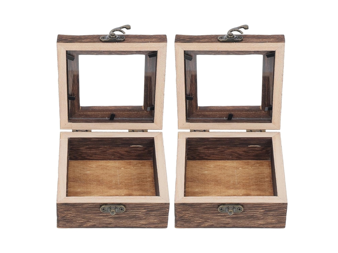 Juego De 2 Vitrinas Para Insectos En Madera De Paulownia Carbonizada, 10x10x4,5 Cm