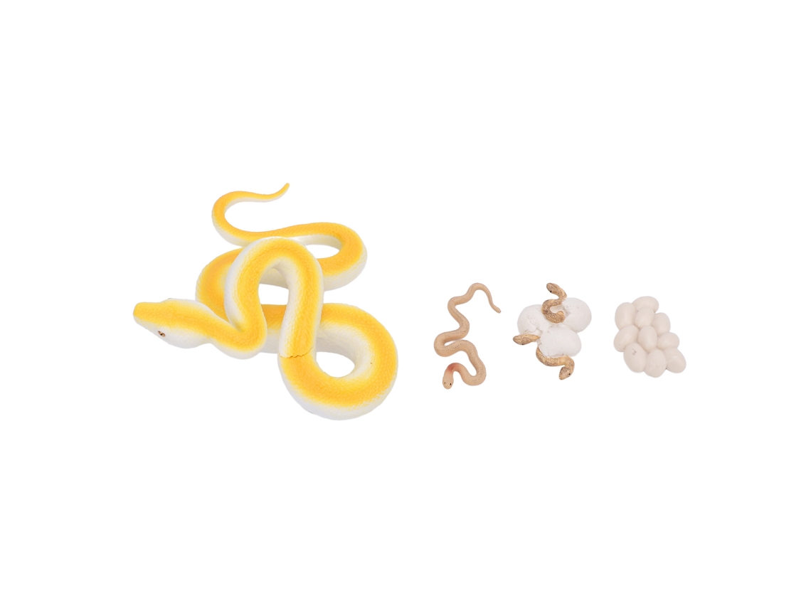 Juguete De Ciclo De Vida De Serpiente: Figuras Y Modelos Educativos Para Aprendizaje Y Decoración