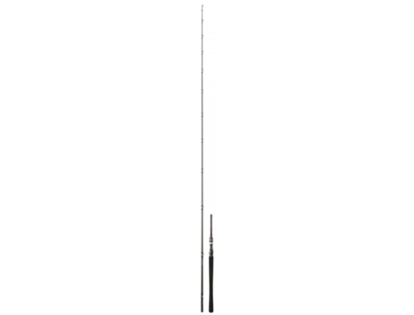 Caña de lanzar DAIWA Exceler 762 XXHFBOS 60-120g