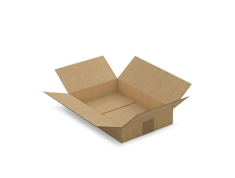 10 cajas de embalaje 31 x 21,5 x 5,5 cm - Flauta simple