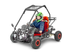 Buggy Infantil De 110 Cc, 2 Plazas Y 4 Tiempos