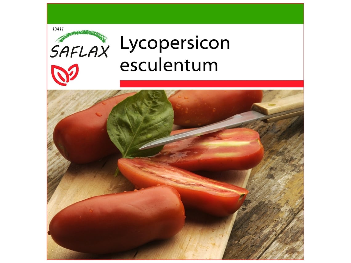 SAFLAX Tomate -San Marzano 10 semillas Con sustrato de cultivo libre de gérmenes Lycopersicon esculentum