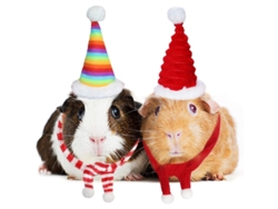 Disfraz Navideño Para Cobayas: Gorro Y Bufanda Navideños Para Mascotas De Tamaño Similar (4 Piezas).