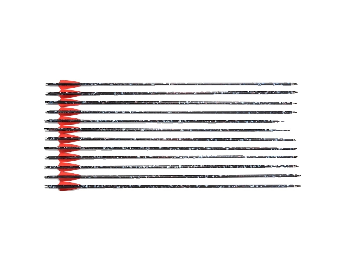 Flechas de caza con arco, 30 pulgadas, varilla de carbono, puntas de 100 granos, 24 piezas, 24 piezas OEM