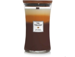Velas grandes de vidrio Woodwick 93904e