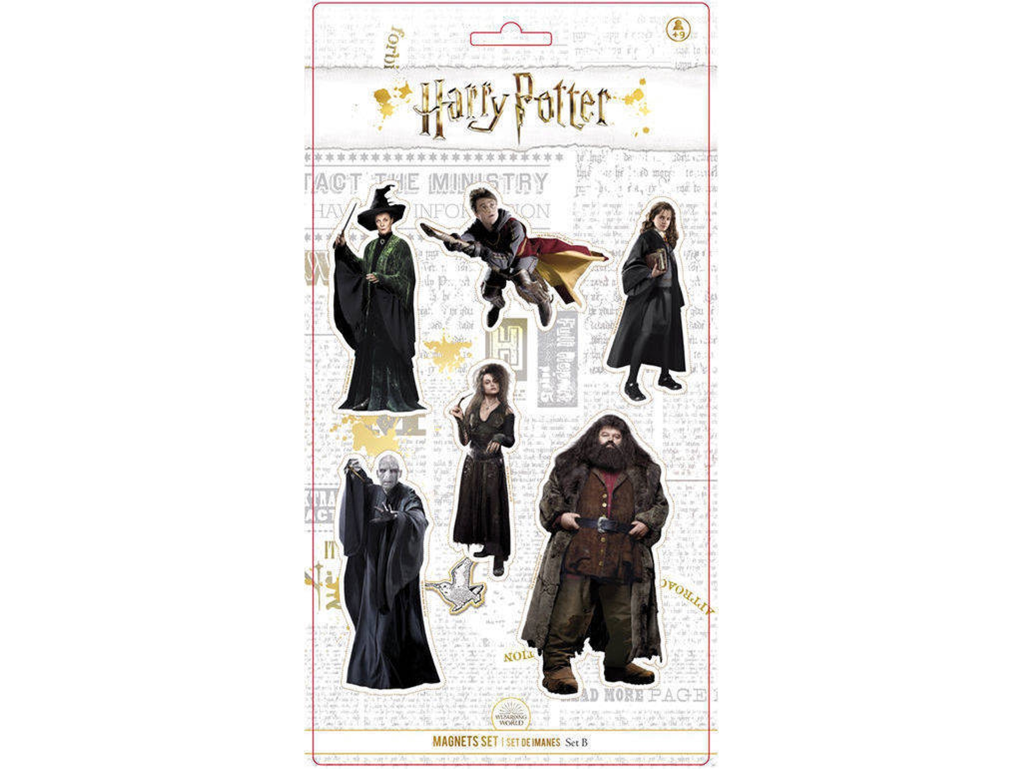 Imán SD TOYS Pack 6 Harry Potter