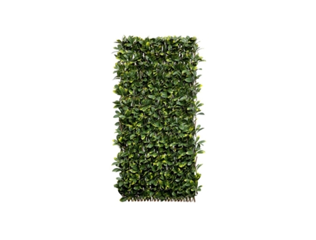 Celosia Extensible de Mimbre - Hoja Laurel
