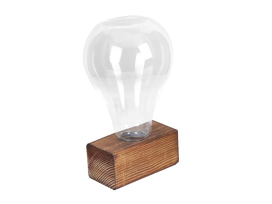 Jarrón hidropónico con luz (1 unidad)