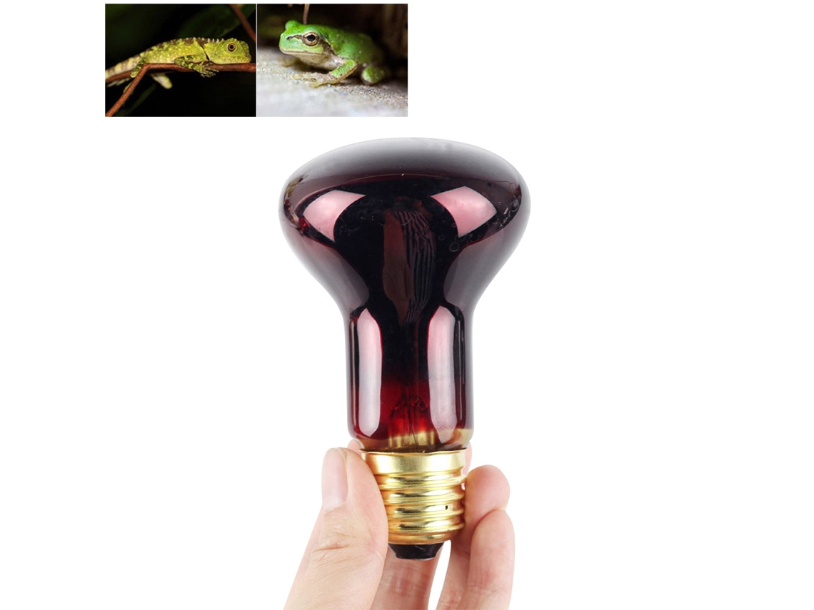 Lámpara Calefactora Infrarroja De 60 W, De Cristal, Luz Roja, Para Reptiles Y Anfibios, Casquillo E27.