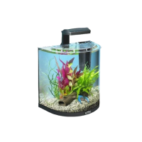 Peces