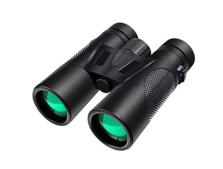 Cámara Vigilancia ENZON 38102 Preto