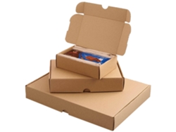 Caja de Correo Maxi SMARTBOXPRO L175 X P115 X A45 Mm