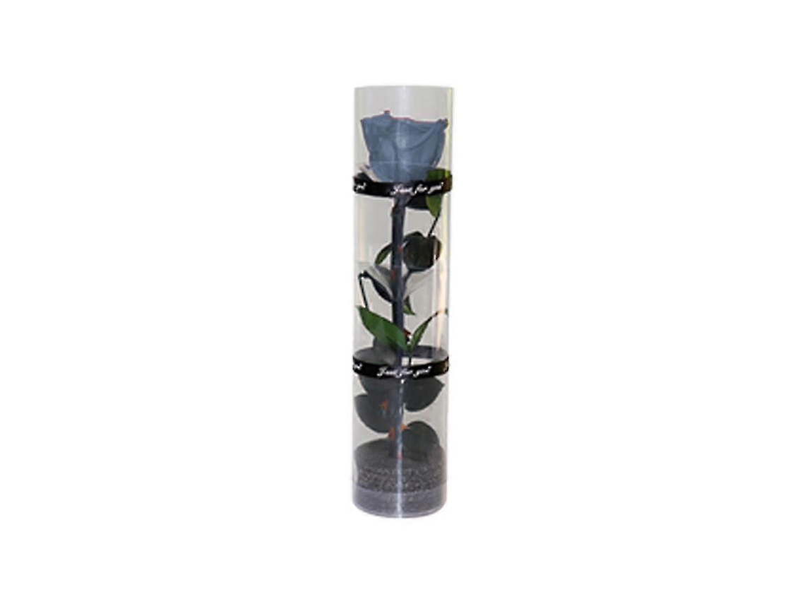 Rebe-rosa Preservada Real, Rosa Eterna Con Tallos Y Hojas Reales, Flor Duradera Para Regalo Azul Grisáceo