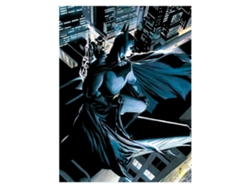 Carteles SD TOYS Pôster de cristal batman dc comics