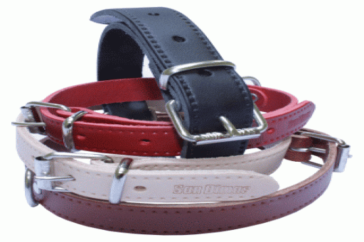 Collar para Perros SANDIMAS (40 x 700 mm)