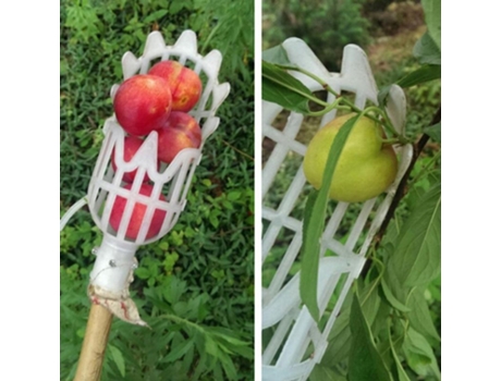 Cosechadora de Frutas de Gran Altura para Granja e Invernaderos Naranja (Blanco)