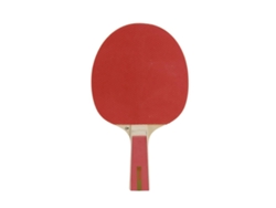 Raqueta de tenis de mesa DUNLOP Nitro
