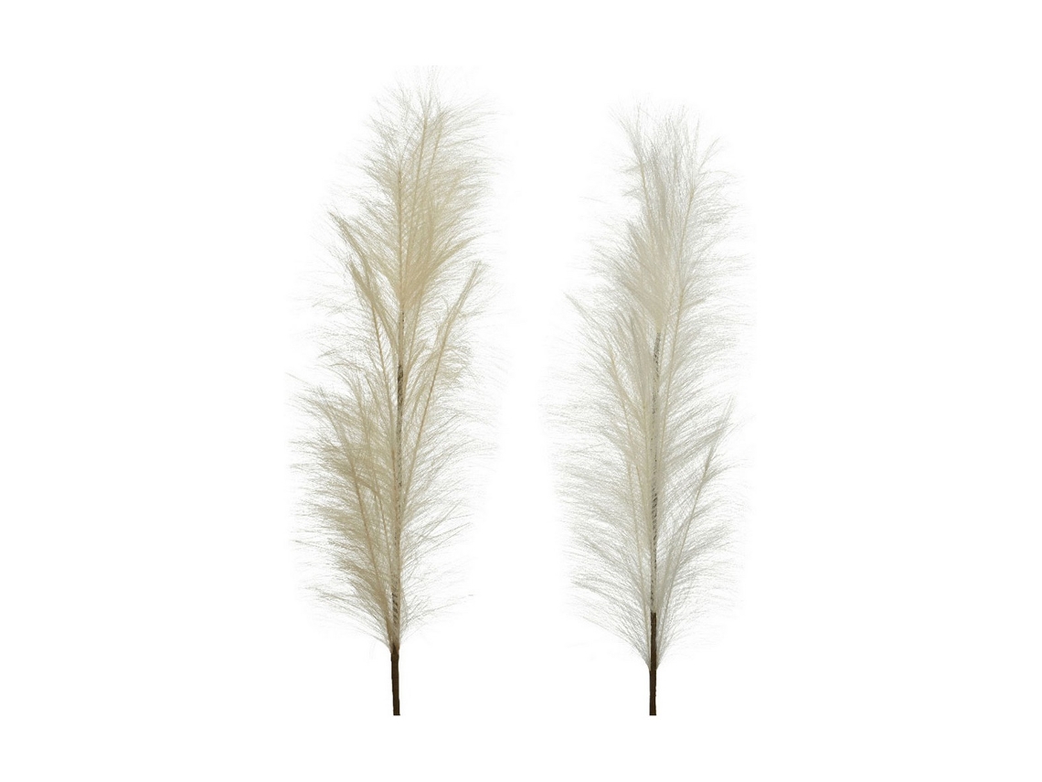 Pluma