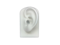 2026altiro-modelo De Oreja Humana De Silicona Suave Para Acupuntura, Estudio Y Exhibición.
